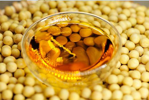朝阳大豆油检测价格,大豆油检测报告,大豆油检测机构
